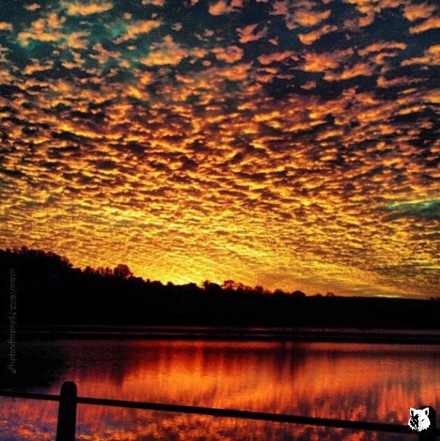 dailyp's tweet photo. CONGRATULATIONS to @urbanWO1F #dpWINNER of the theme #dpCLOUDS https://t.co/LpoRgtXtAc