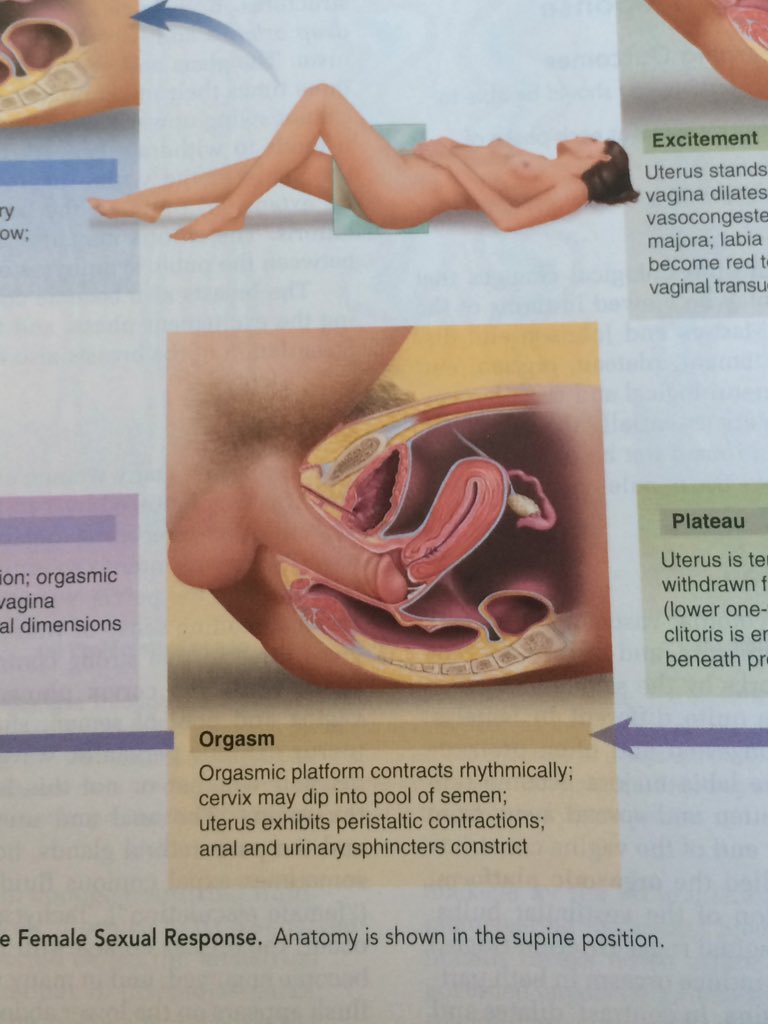 Initial Evaluation Of Sexual Problems