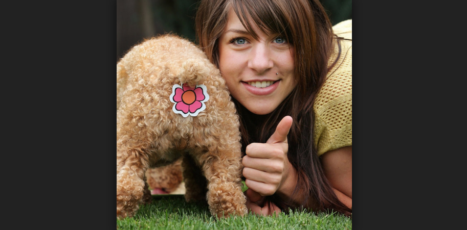 GirlsOnBored's tweet photo. PETS: The Anti-Boredom https://t.co/IpfSPv9VeR https://t.co/oMyUnYcZQc