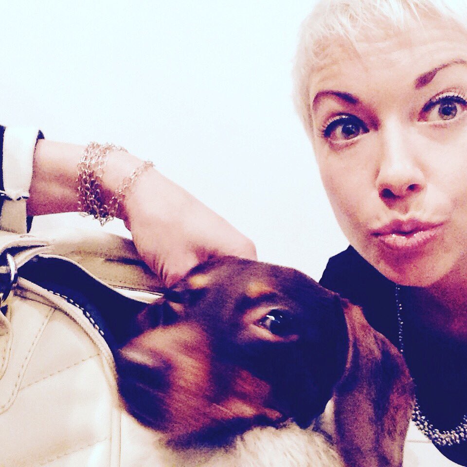 KateMander's tweet image. Something a bit epic happened tonight. I spent the evening with Gigi the #Gogglebox sausage dog.