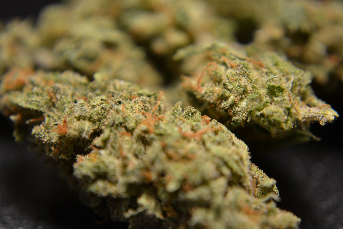 HashmanInfused tweet picture
