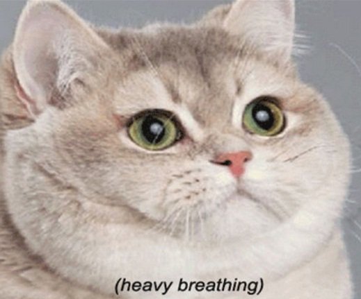 CWTS8faWUAEapfA.jpg:large