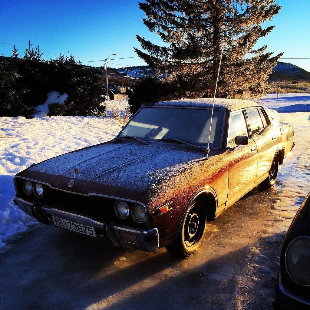 oldcar_photo's tweet photo. #datsun #cedric #260c #1976 #cold #winter #snow #ice #dailydriven #oldschool #car #carporn #ld28 #norge #norway #no… https://t.co/LOWHXZn21a