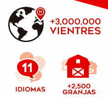 PigKnows's tweet photo. @AlltechSpain Gracias por seguirnos! #Pigknows Líder en la gestión de información porcina, completamente en línea! https://t.co/GzomHMmwCN