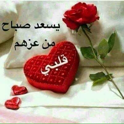httpsmobile51 tweet picture