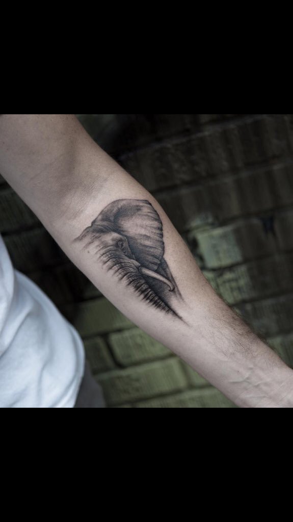 PhillMeain's tweet photo. 🐘#tattoo https://t.co/f04yrfZNBg