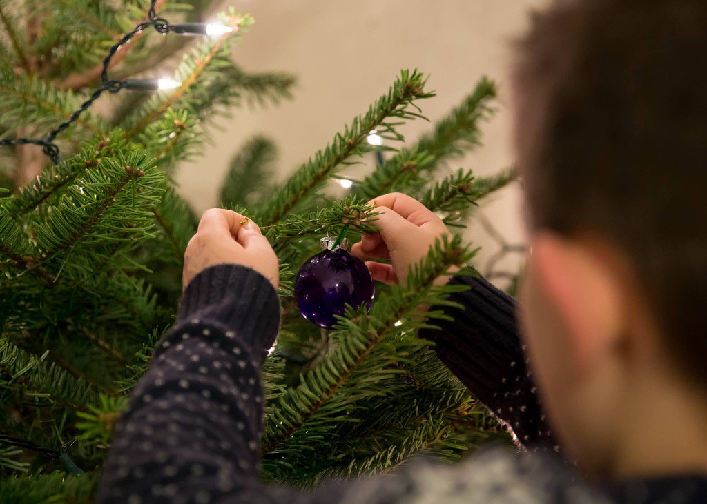 <a href="/samgavins/">Sam Gavins</a>                                        samgavinsphotography.com       Idressing the tree is a must.
