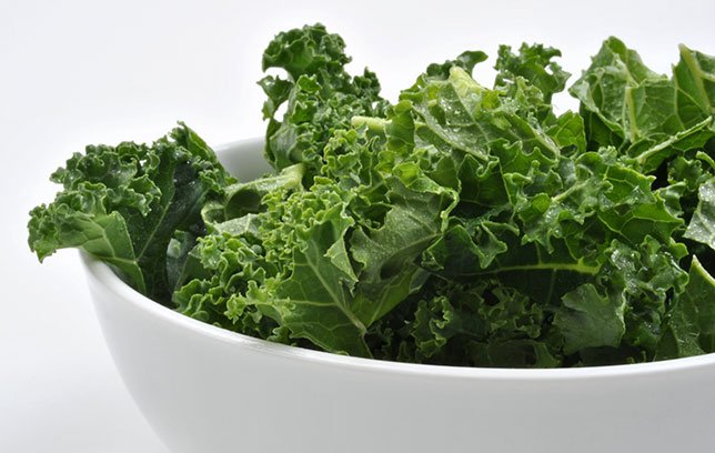 TowerGarden's tweet photo. Kale's Gross Side Effect (and What You Can Do to Prevent It): https://t.co/06dAmvtPKt #kaleproblems https://t.co/CXYto2pH1i