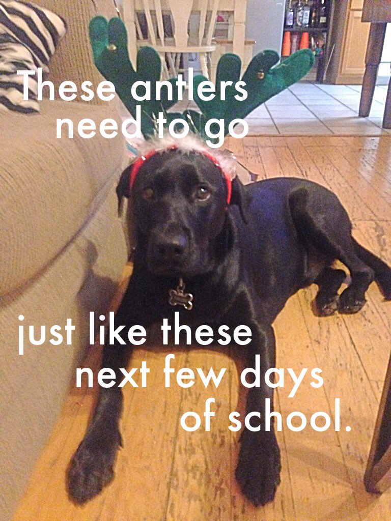 haileyleopold's tweet photo. Final countdown meme Tuesday, a little late! #mlccproud https://t.co/PpemWnnQ66