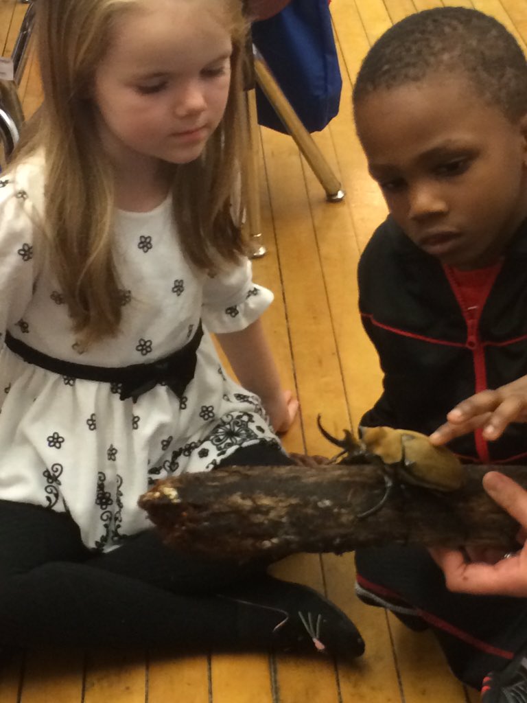 BloomBulldogs's tweet photo. Exciting visitors in KinderClasses today. #bloomscience https://t.co/9mnSzsqJjh