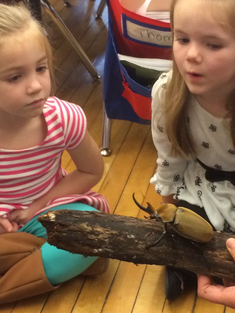 BloomBulldogs's tweet photo. Exciting visitors in KinderClasses today. #bloomscience https://t.co/9mnSzsqJjh