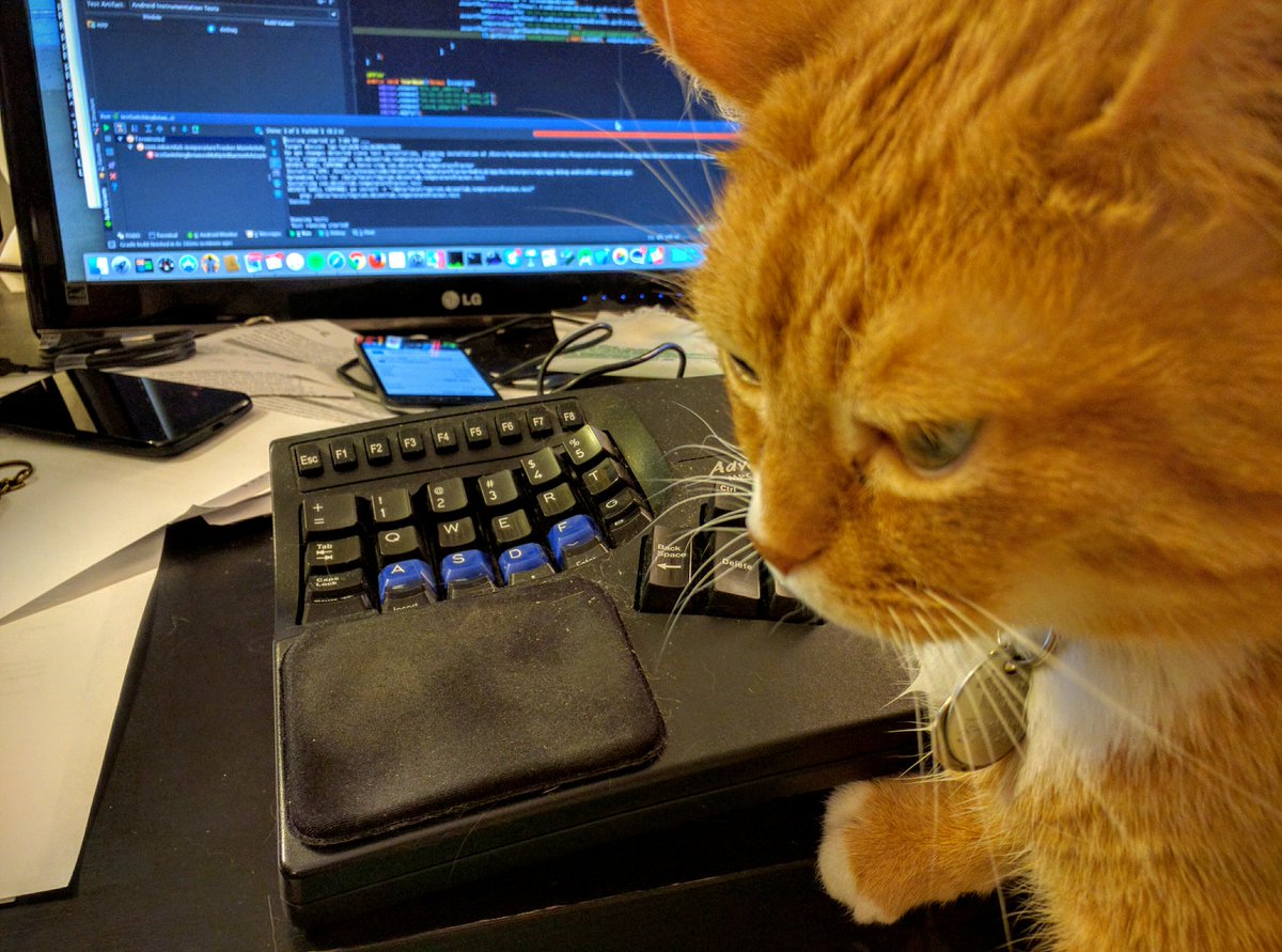 PurrProgramming's tweet image. Got to fix that red test.  #purrprogramming