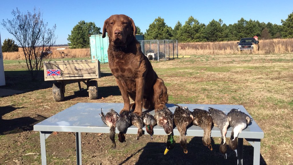 WesBottom's tweet image. Wynne, AR