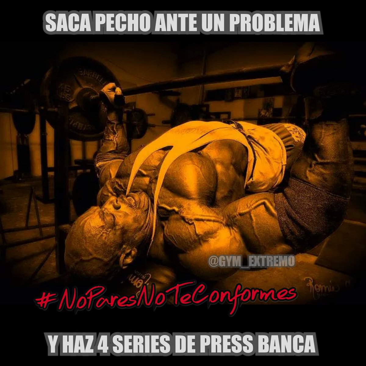 GYM_EXTREMO's tweet photo. Mi mejor consejo! 💪 https://t.co/LmPG4tV3h6