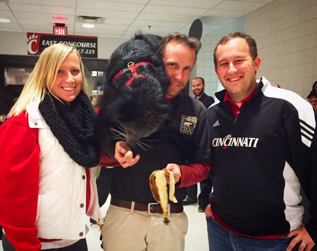 Breana_Trauger's tweet photo. Up close and personal with @LucyTheBearcat at Fifth Third Arena! #hottestcollegeinamerica #bearcats https://t.co/HoVxOYHtzu