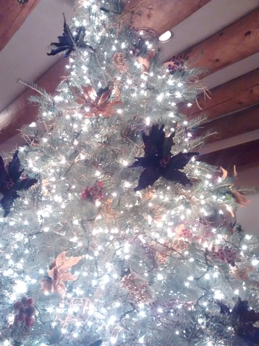 FallOfModernism's tweet image. #hollyjollyhotelsantafe @HotelSantaFe !