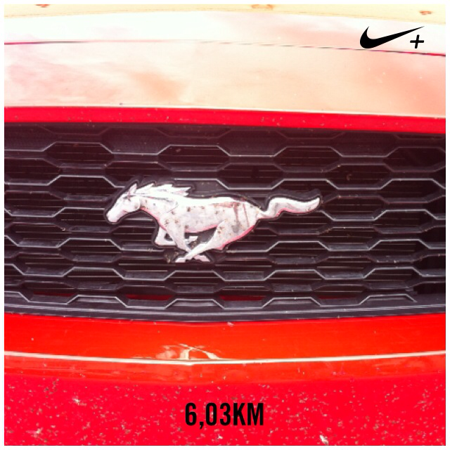 fc_agro's tweet photo. I'm back!!! 👏👍 Acabo de correr 6,03 km a un ritmo de 5'31''/km con Nike+. #nikeplus https://t.co/35QmYX7gJZ