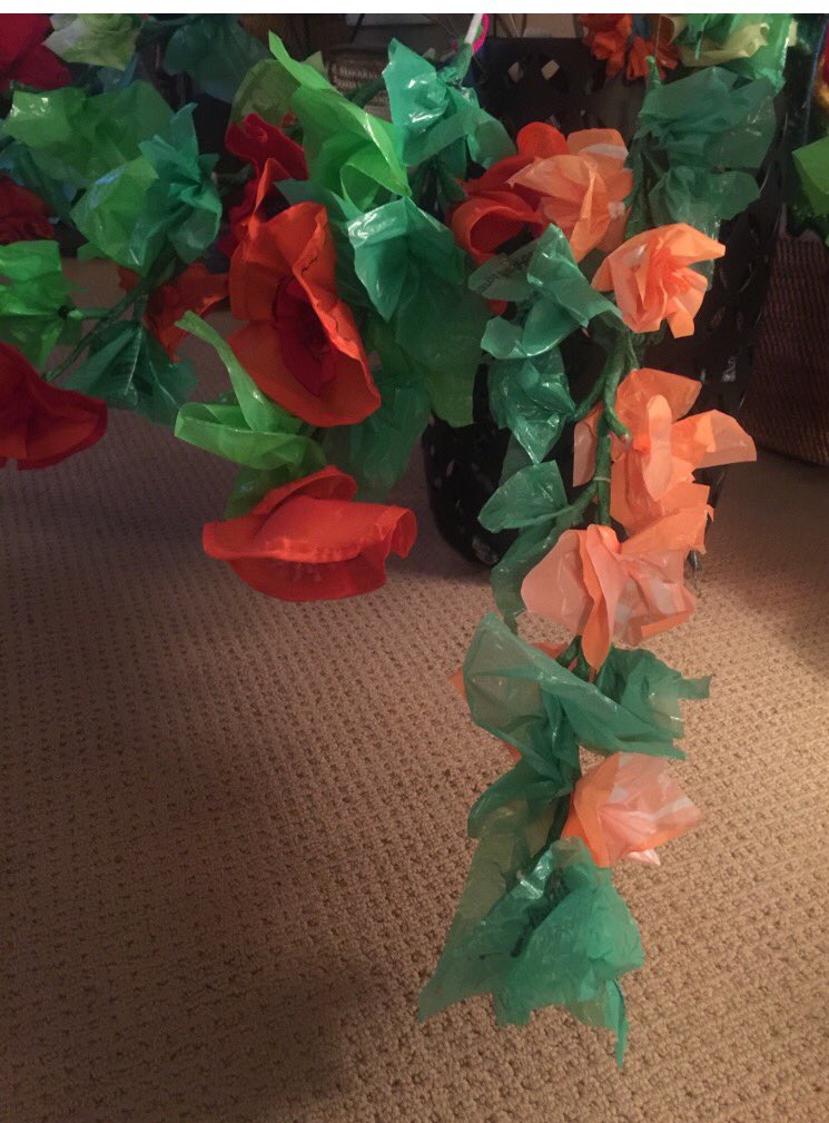 popdesfleurs's tweet photo. It is almost time for our winter garden installation! A big S/O to everyone who has helped get things blooming https://t.co/Bmac3iALAU