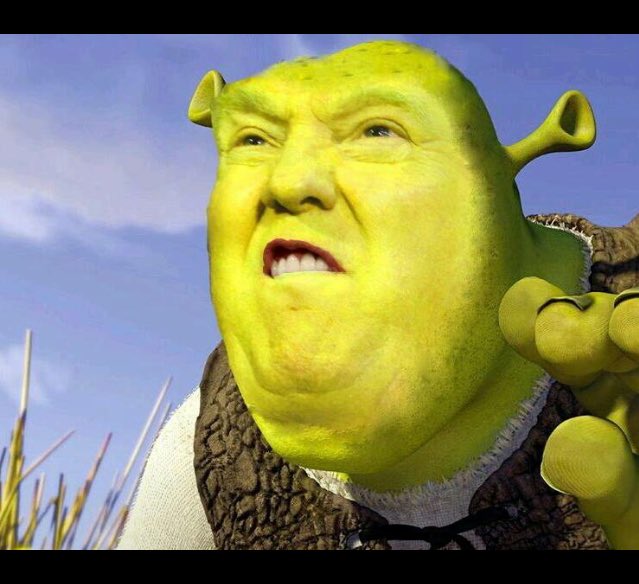 Joe Dobson Get These Illegals Out Of My Swamp Or I Ll Make Donkey Build A Wall Donaldtrump Shrektrump T Co Udmyxuq03k Joe Dobson Get These Illegals Out Of My Swamp Or I Ll Make Donkey Build A Wall Donaldtrump Shrektrump T Co Udmyxuq03k