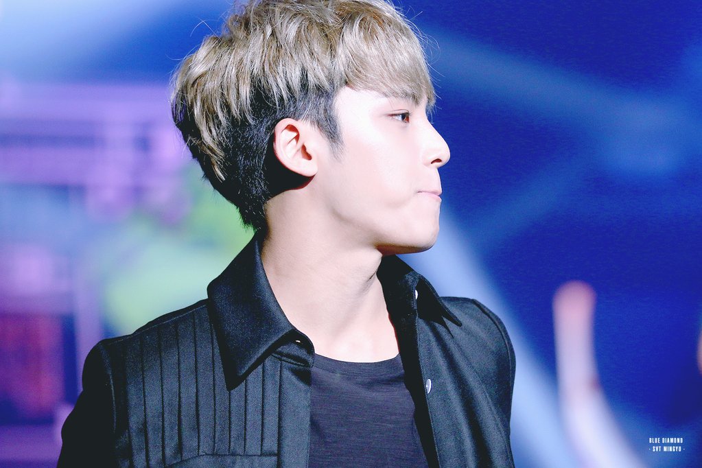 pami on Twitter: "@xMingyuWonwoox • Mingyu side profile appreciation tweets/thread • #민규 #KimMingyu #Seventeen #Mingyu https://t.co/nThek3owNa" / Twitter