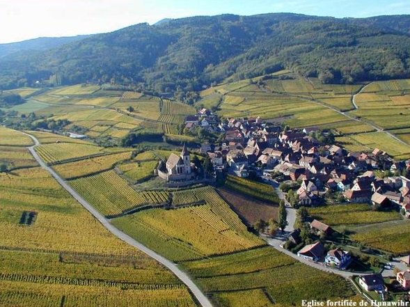 RealWineGuru's tweet photo. MT: Beautiful view of Hunawihr #Alsace, the #vineyards &amp; its famous fortified church. via @CoopHunawihr #DrinkAlsace https://t.co/vbJ2zrQxcb