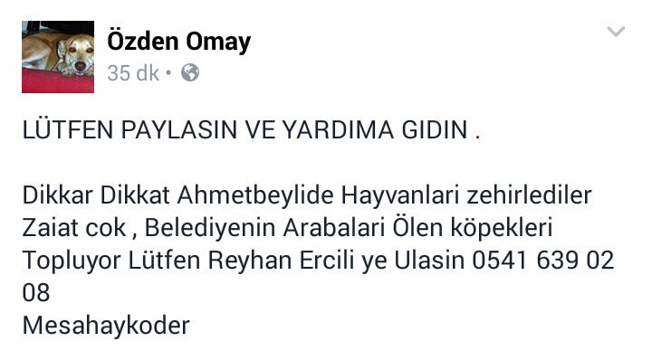 Mesahaykoder (@cemmesahaykoder) on Twitter photo 