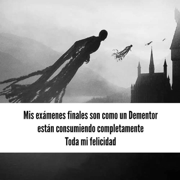 Lobukibero's tweet photo. Los odié https://t.co/WXkcQCe6P1