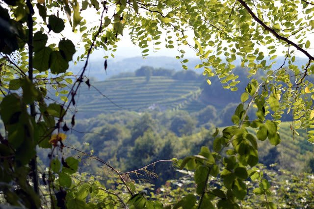 Una sosta presso l'agriturismo #borgoluce, dove l'ambiente esprime il suo sapore #treviso  montagnadiviaggi.it/2015/08/agritu…