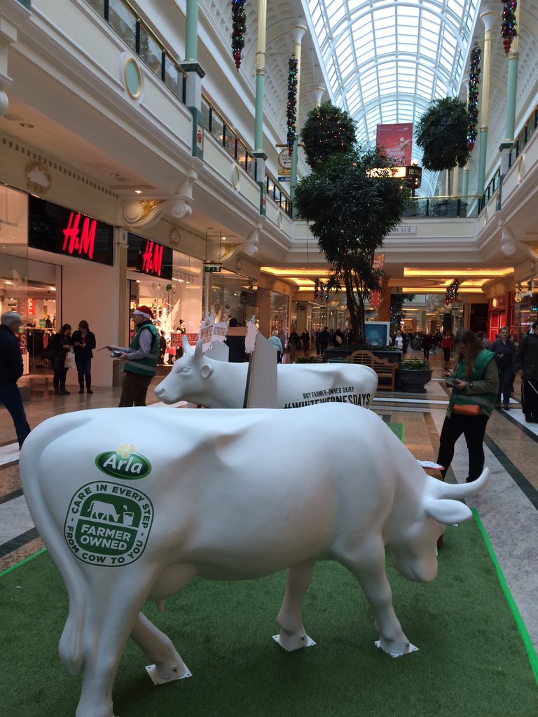 PorteusVicky's tweet photo. @ArlaDairy @gwilks2 Hard at it talking farmer owned @ Trafford Centre #whitewednesdays https://t.co/fy1BSochLU
