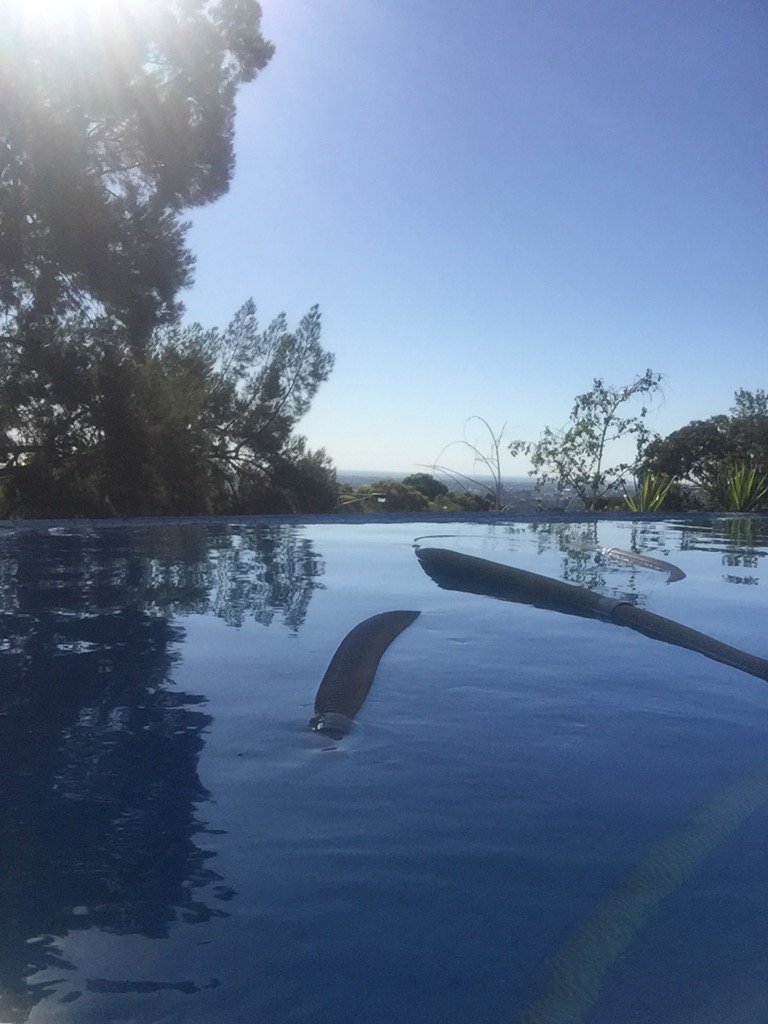 Essential_SP's tweet image. Adelaide 42 C