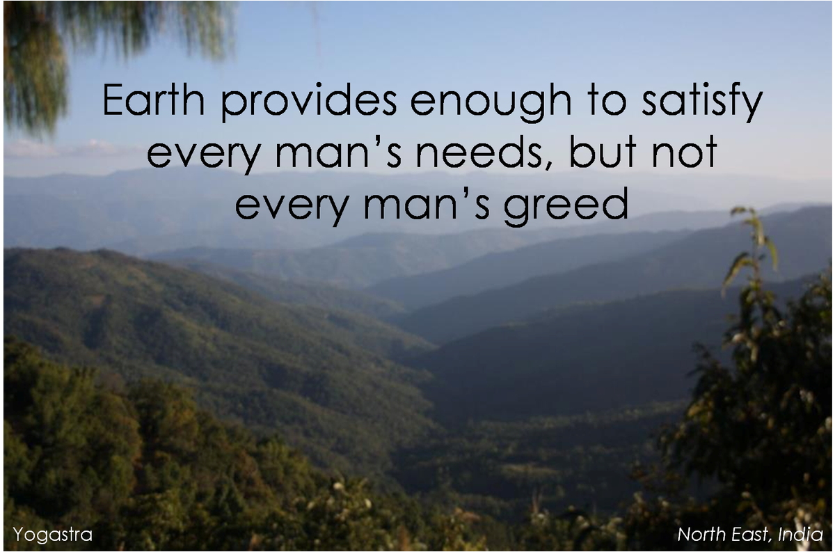 yog_astra's tweet photo. Greed is the reason for all the mess #motherearth #nature #conscious  #environment #aware #content #mindful #peace https://t.co/BTyxlOpWs1