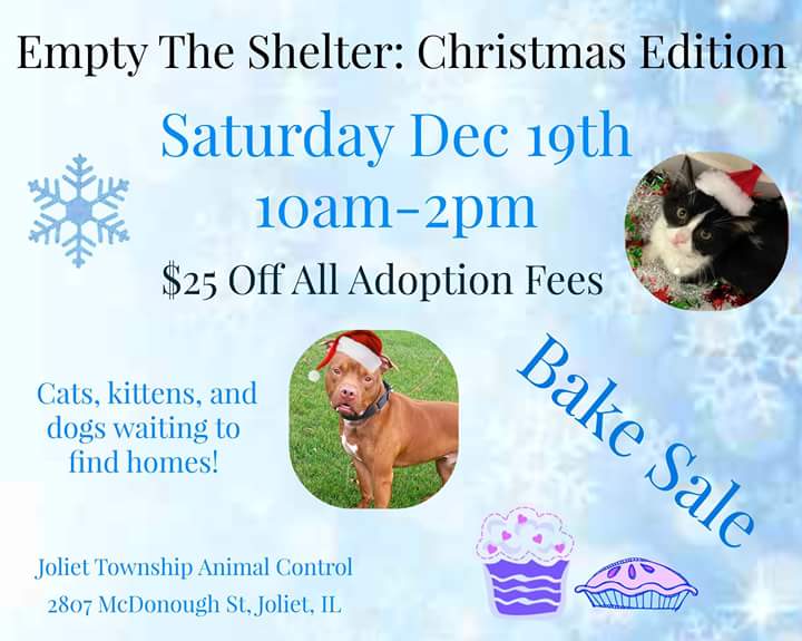 KymZ76's tweet photo. This Saturday in #Joliet ..
At @JTAnimalControl https://t.co/JCir3NiHu9