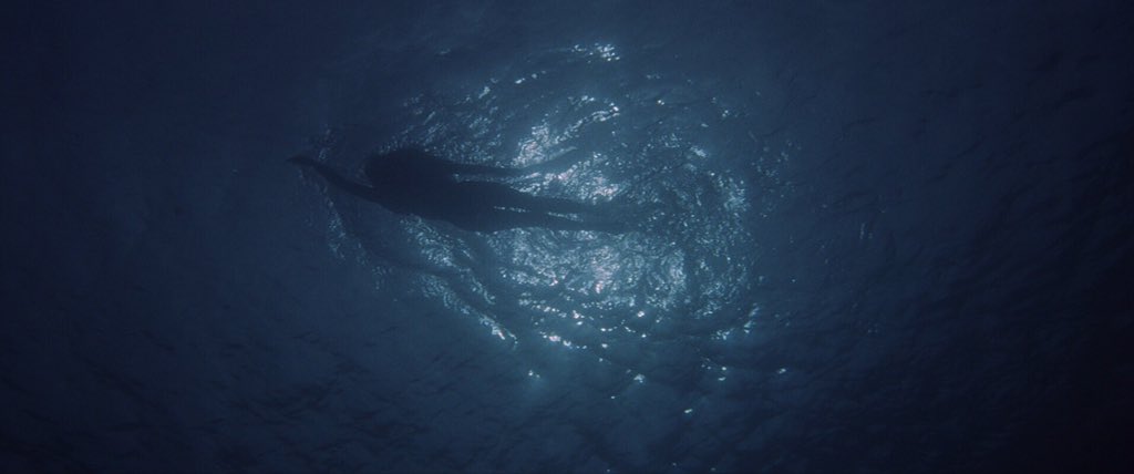 GuyItsLogan's tweet photo. 1975 || Jaws https://t.co/bEdVQhtjFU