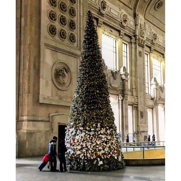eventiatmilano's tweet photo. Esprimete un desiderio! Nella foto di Giacomo Bianchi, l'albero di Natale in Stazione Centrale a Milano. #christmas https://t.co/x1CcBx1LH6