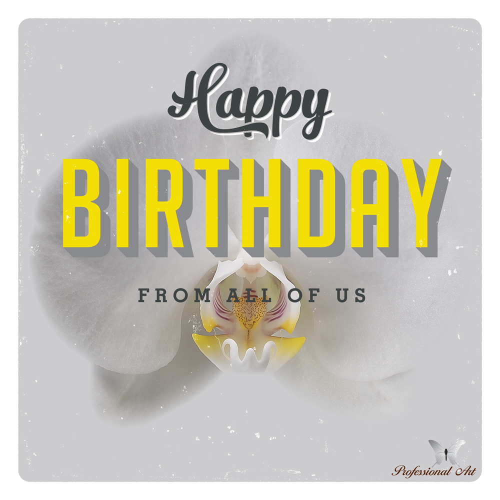 Concorde Orchids tweet media