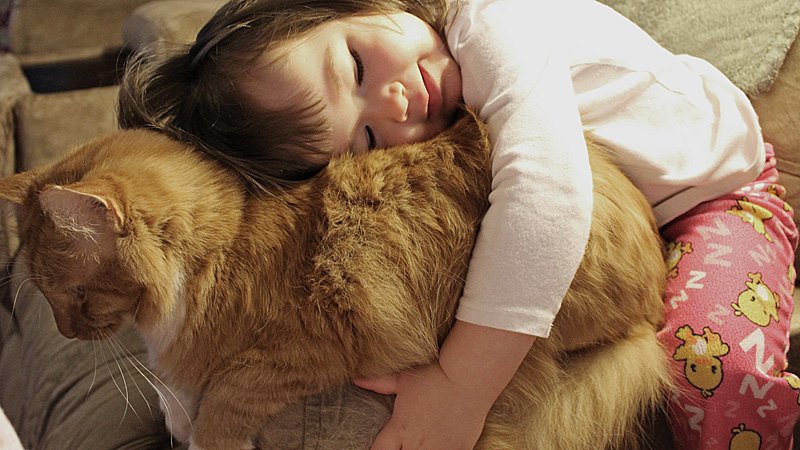 “<a href="/Shiroki_Alex/">Astronaut / Lurker</a>: <a href="/_claudiaw/">Claudia ⚘️</a> <a href="/tstarka/">Takae Sasaki 🦄</a> <a href="/ARECSANDORA/">Keiko Arex Sasaki</a> @rosequartz0518 ”I love you kitty ♡