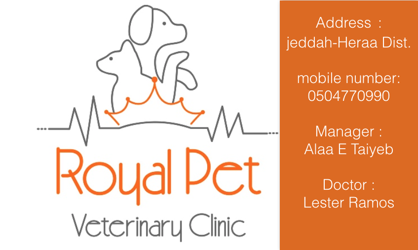 Royalpetclinic Royalpetclinic Twitter