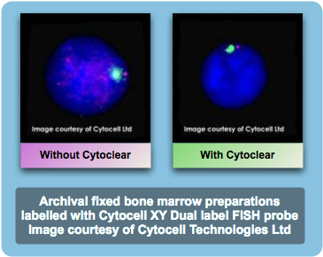 GenialHelix1's tweet photo. Cytoclear JL004, can quickly dissolve&amp; remove persistent cytoplasm (mainly caused by inadequate hypotonic treatment) https://t.co/cZXHVms2mb