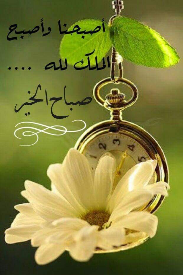 ab_______as's tweet photo. @azwtz2 https://t.co/RZ6pQkrwK4