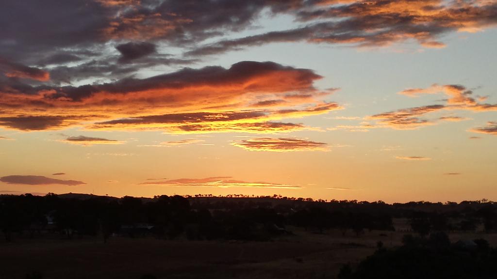 N_Holt76's tweet photo. Bit of a mixed bag around #canberra tonight... @visitcanberra @TweetCanberra @hannahjmcewan https://t.co/ftiUo5HcRN