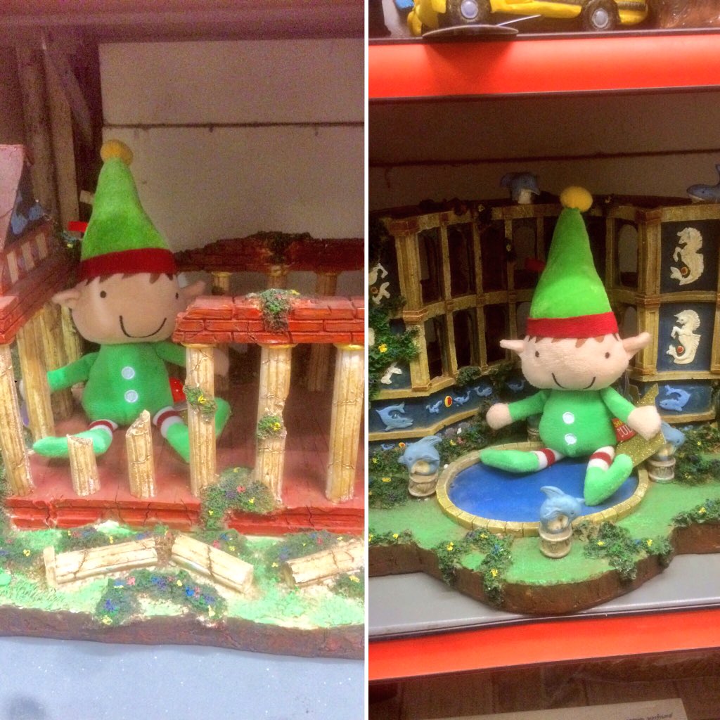 Diamond Pet Supplies tweet media