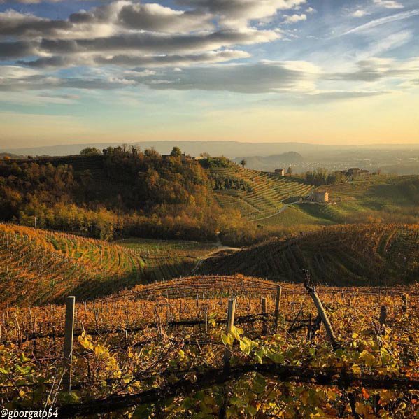 Visit Veneto tweet media