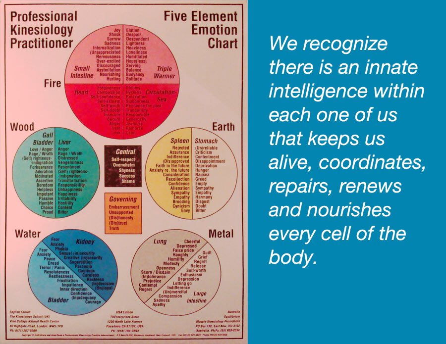 Kinesiology Emotion Chart