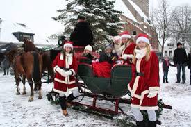 Koopzondag Raalte 20 december: Kerstmarkt, levende kerststal, Wensenfee, Sledehonden, Arrenslee en veel muziek.