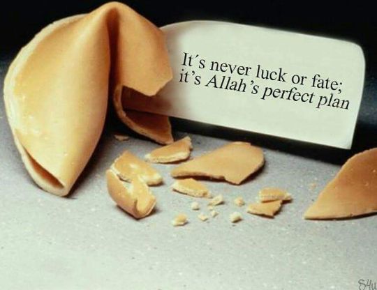 smidepok's tweet photo. #faith #bestplan #perfectplan https://t.co/5M13EfiU7l