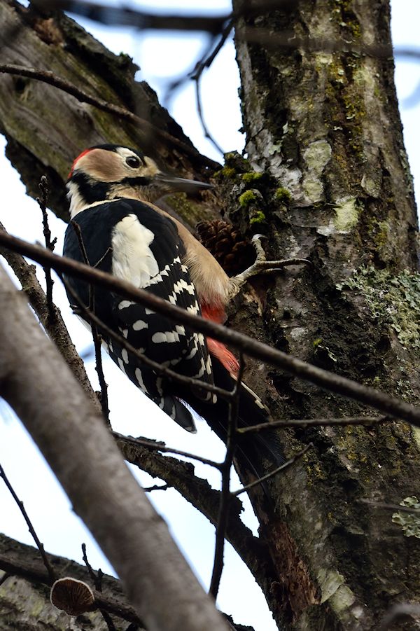 pei (@pei52) on Twitter photo 