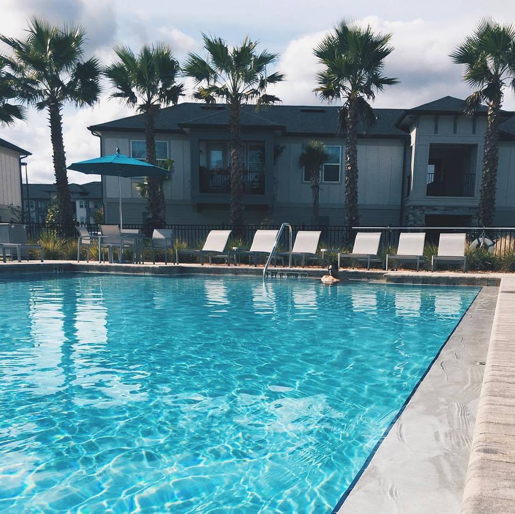 maritimoswim's tweet photo. Just another #humpday // #maritimoswim #florida #foreverwarm #funinthesun #relax #maritimoswim https://t.co/XWNFjmycQC