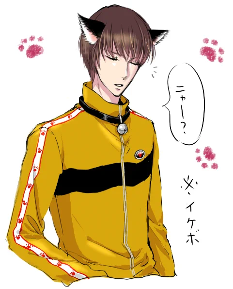 こういうことです…
負けはいけにゃいにゃ… 