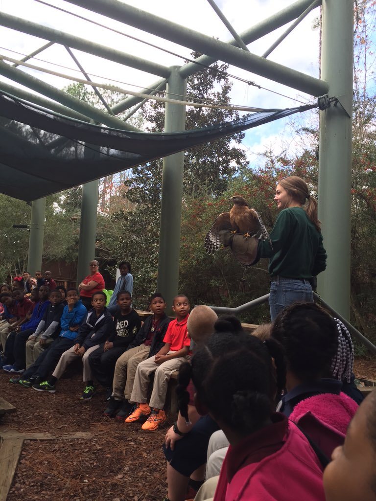 skcarrier_fle's tweet image. GSU habitat field trip all about habitats and adaptations. #superherointraing #handsonlearning