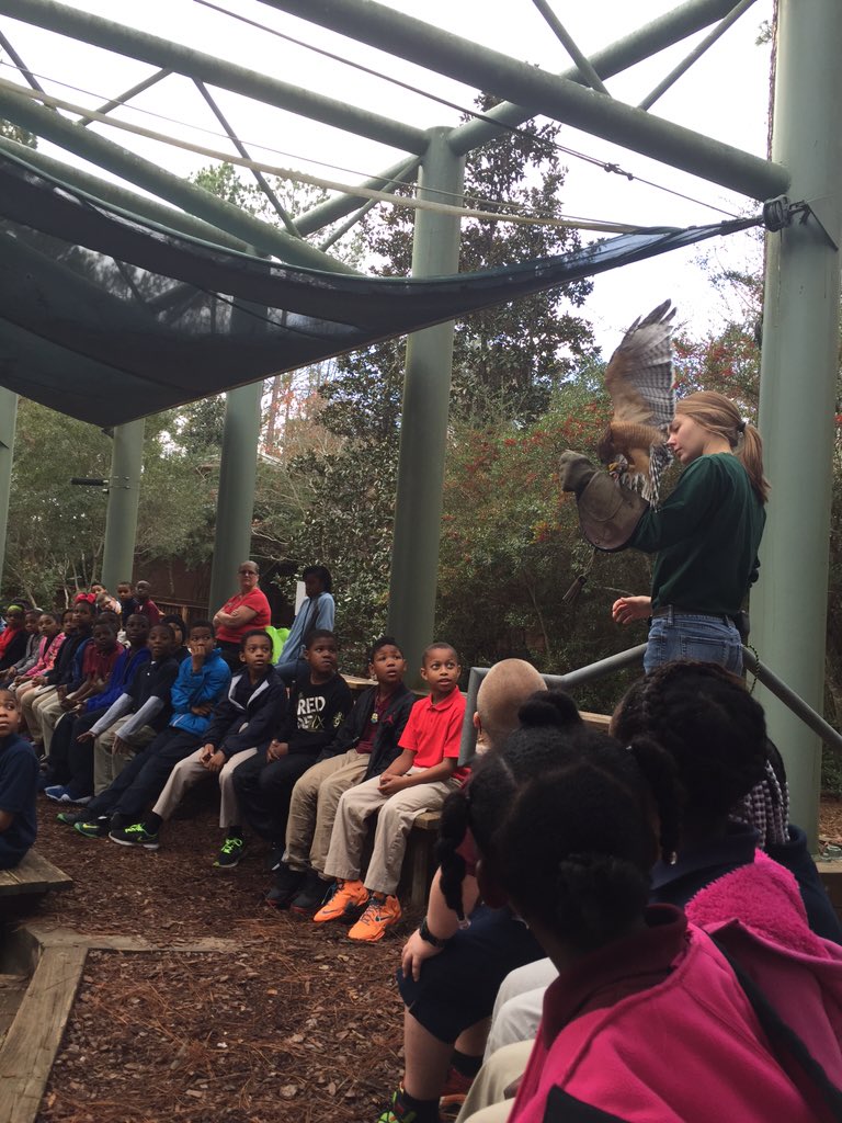skcarrier_fle's tweet image. GSU habitat field trip all about habitats and adaptations. #superherointraing #handsonlearning